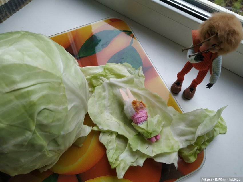 Ох уж эта капуста — Домашние фото авторских игрушек: Тедди (фото 2)