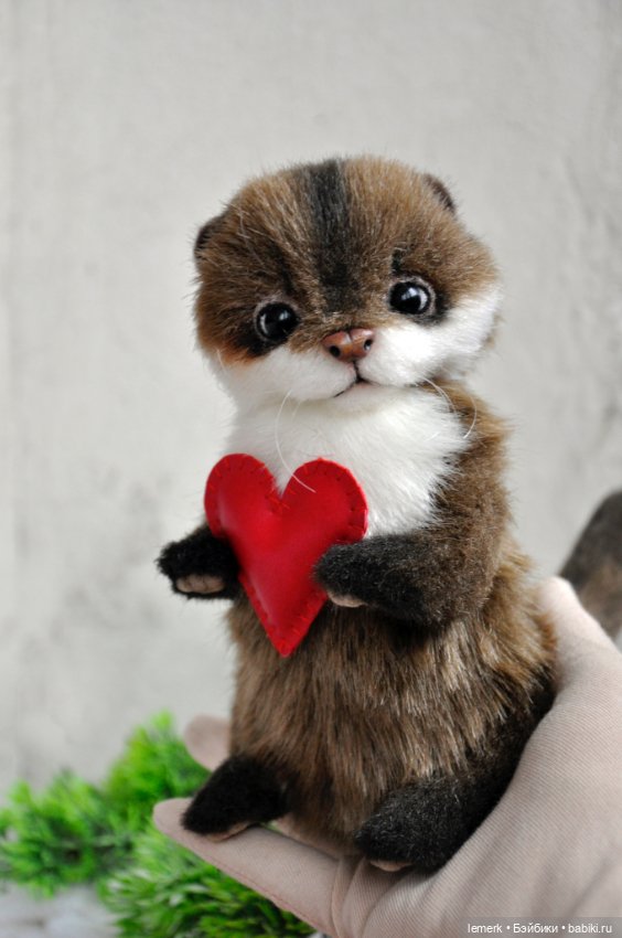 Ручная выдра. Милый тедди зверек ❤️ (фото 9)