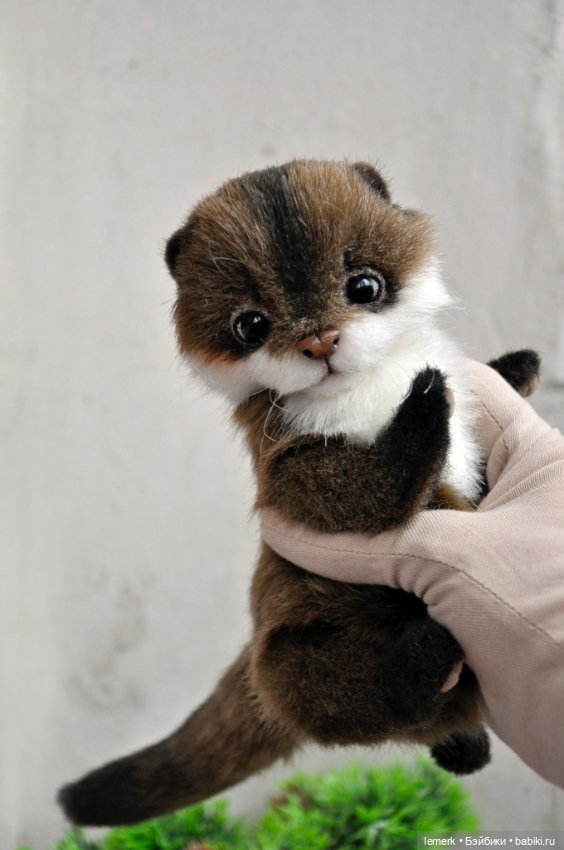 Ручная выдра. Милый тедди зверек ❤️ (фото 6)