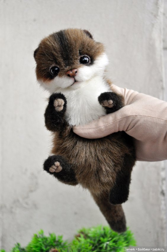 Ручная выдра. Милый тедди зверек ❤️ (фото 7)