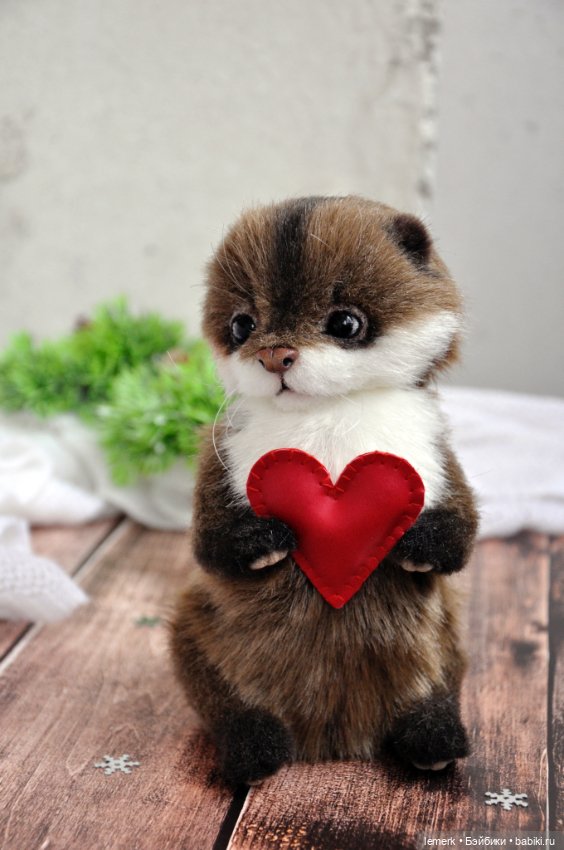 Ручная выдра. Милый тедди зверек ❤️ (фото 3)