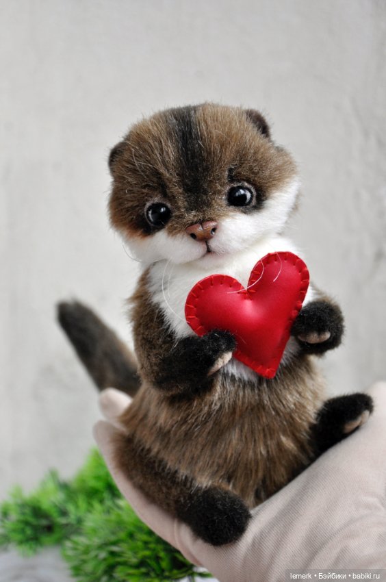 Ручная выдра. Милый тедди зверек ❤️ (фото 8)