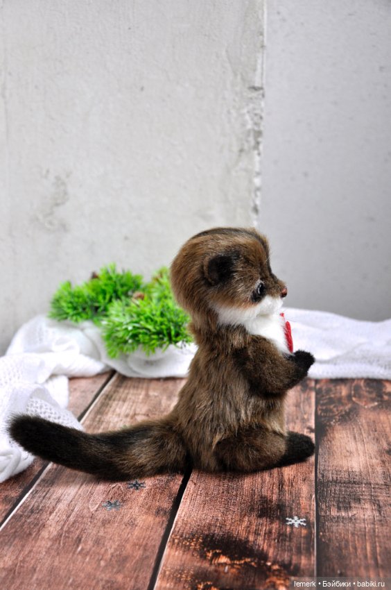 Ручная выдра. Милый тедди зверек ❤️ (фото 5)