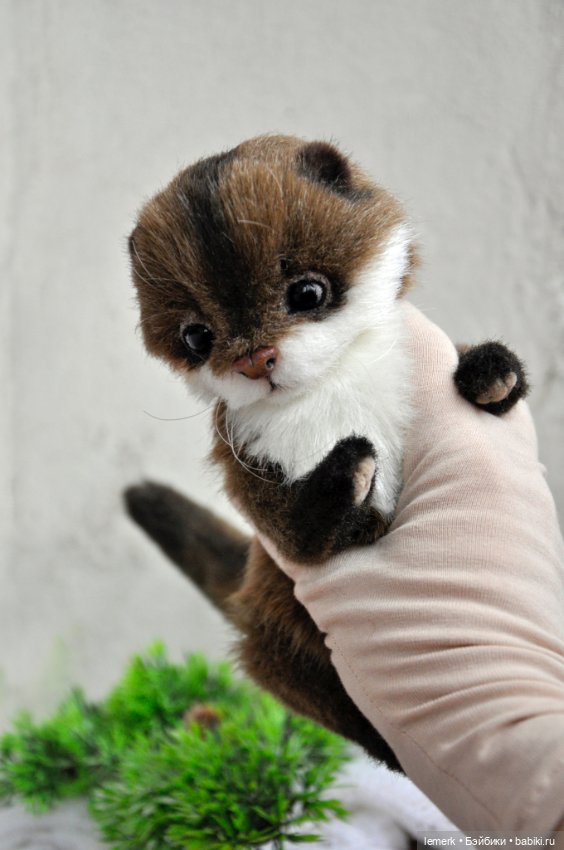 Ручная выдра. Милый тедди зверек ❤️ (фото 10)