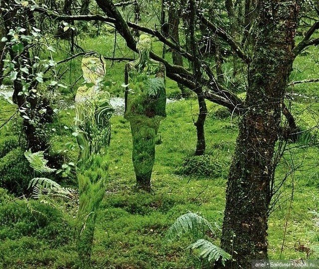Скульптуры-невидимки от Роба Малхолланда (Rob Mulholland) (фото 2)
