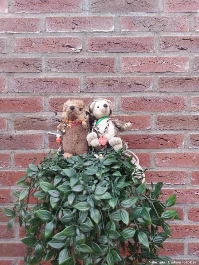 Fashion Dolls 369 — Туризм и путешествия: фотоотчеты из поездок (фото 7)