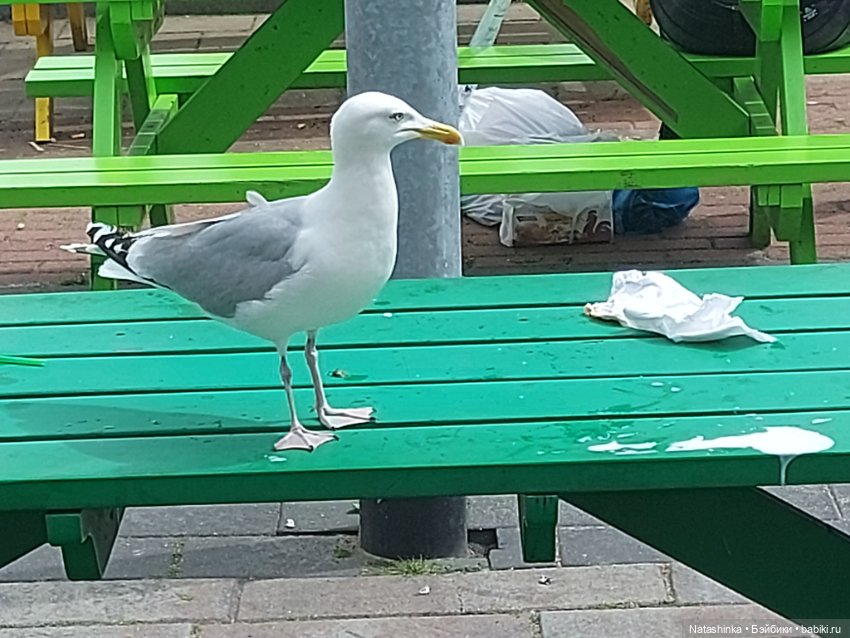 Fashion Dolls 369 — Туризм и путешествия: фотоотчеты из поездок