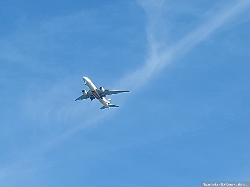 Fashion Dolls 369 — Туризм и путешествия: фотоотчеты из поездок