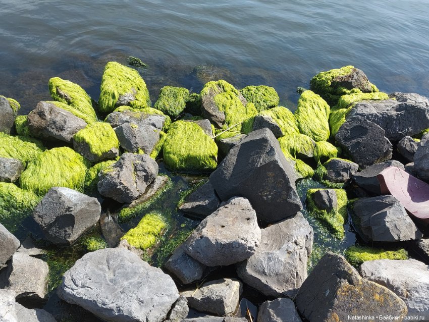 Fashion Dolls 369 — Туризм и путешествия: фотоотчеты из поездок