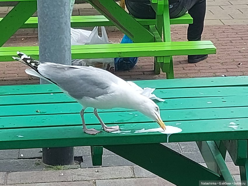 Fashion Dolls 369 — Туризм и путешествия: фотоотчеты из поездок