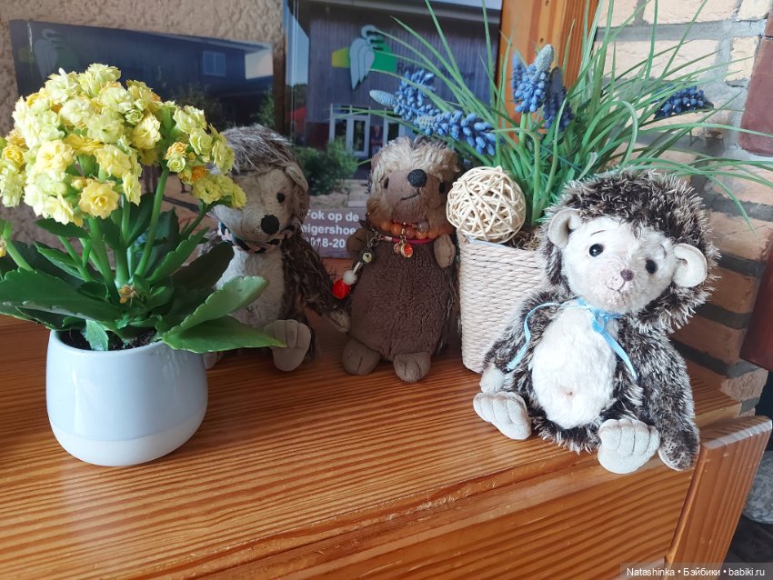 Fashion Dolls 369 — Туризм и путешествия: фотоотчеты из поездок (фото 6)