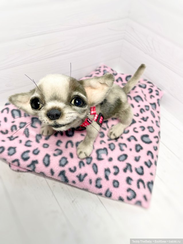 Yummi 🐾🐶чихуашик — Реалистичные игрушки и звери (Натюр): собаки