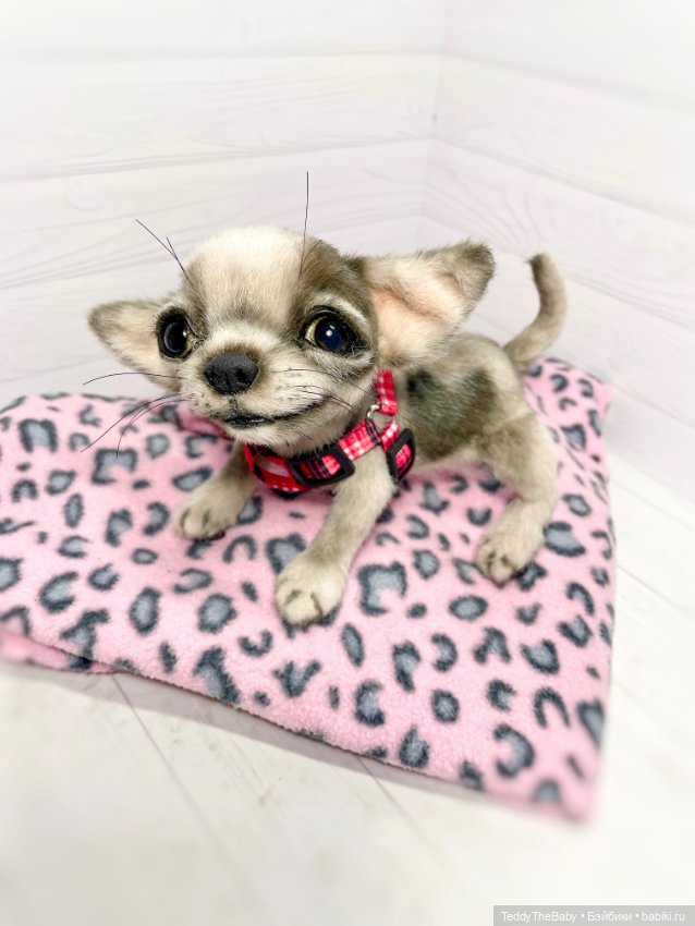 Yummi 🐾🐶чихуашик — Реалистичные игрушки и звери (Натюр): собаки