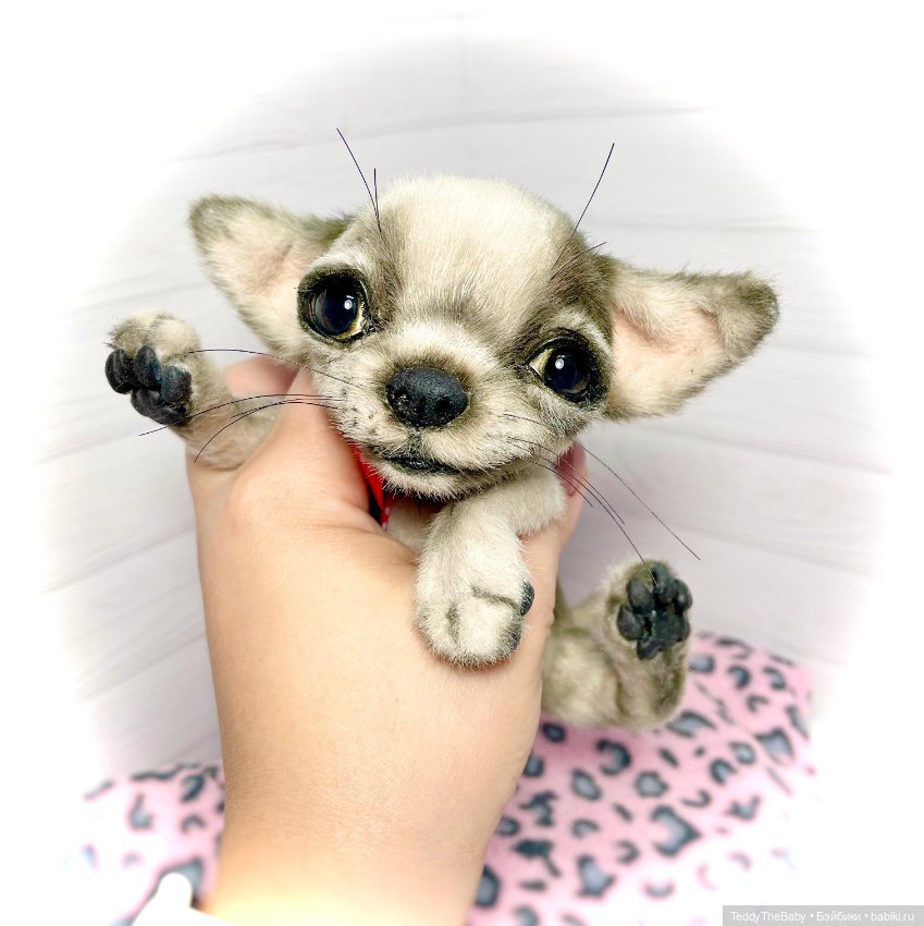 Yummi 🐾🐶чихуашик — Реалистичные игрушки и звери (Натюр): собаки (фото 2)
