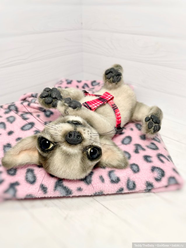 Yummi 🐾🐶чихуашик — Реалистичные игрушки и звери (Натюр): собаки