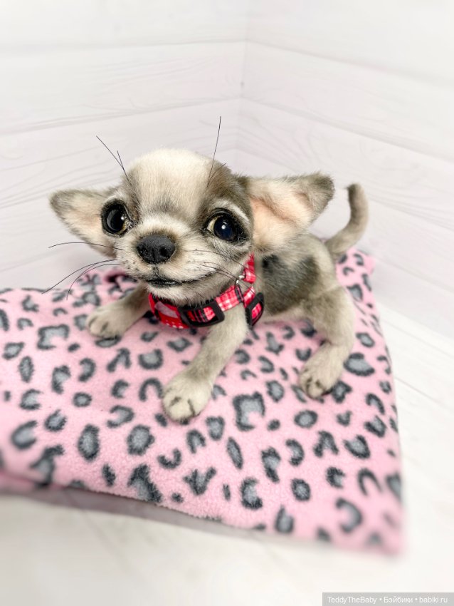 Yummi 🐾🐶чихуашик — Реалистичные игрушки и звери (Натюр): собаки