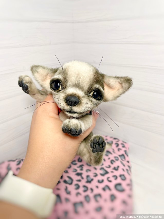 Yummi 🐾🐶чихуашик — Реалистичные игрушки и звери (Натюр): собаки (фото 5)