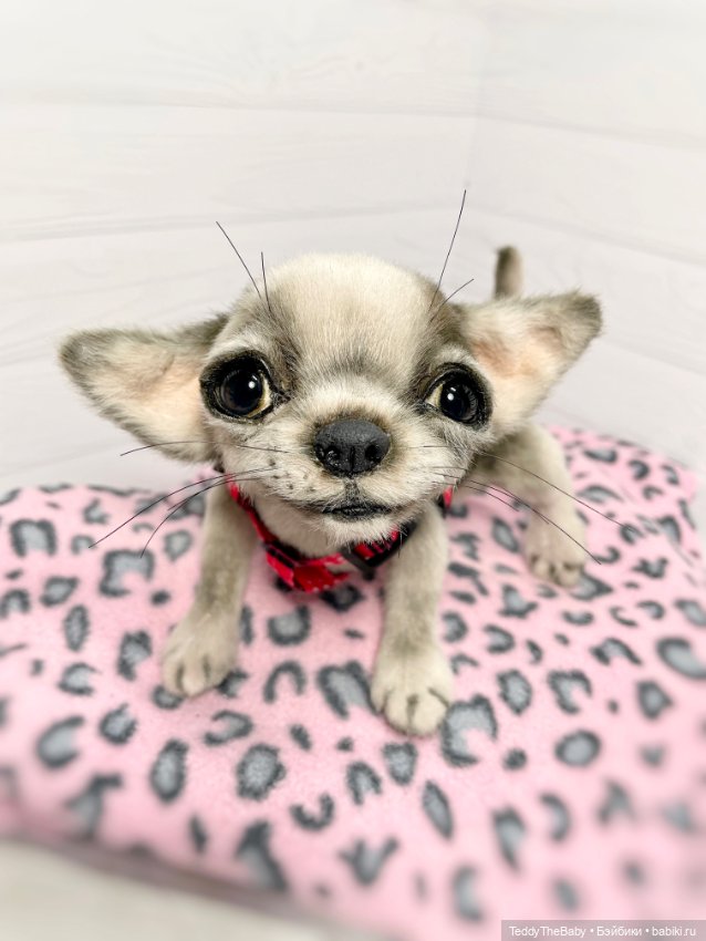Yummi 🐾🐶чихуашик — Реалистичные игрушки и звери (Натюр): собаки (фото 9)