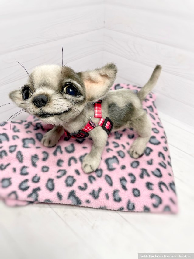 Yummi 🐾🐶чихуашик — Реалистичные игрушки и звери (Натюр): собаки