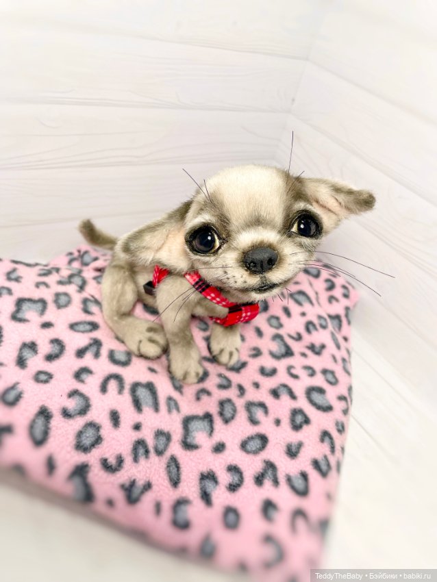 Yummi 🐾🐶чихуашик — Реалистичные игрушки и звери (Натюр): собаки