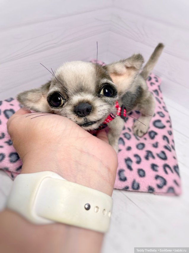 Yummi 🐾🐶чихуашик — Реалистичные игрушки и звери (Натюр): собаки