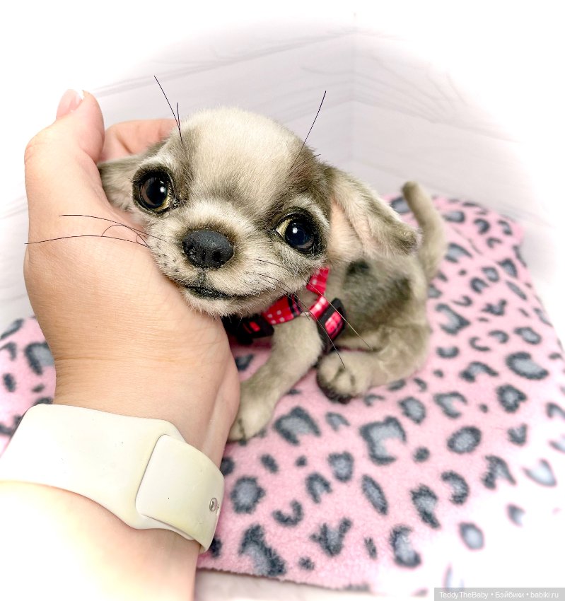 Yummi 🐾🐶чихуашик — Реалистичные игрушки и звери (Натюр): собаки