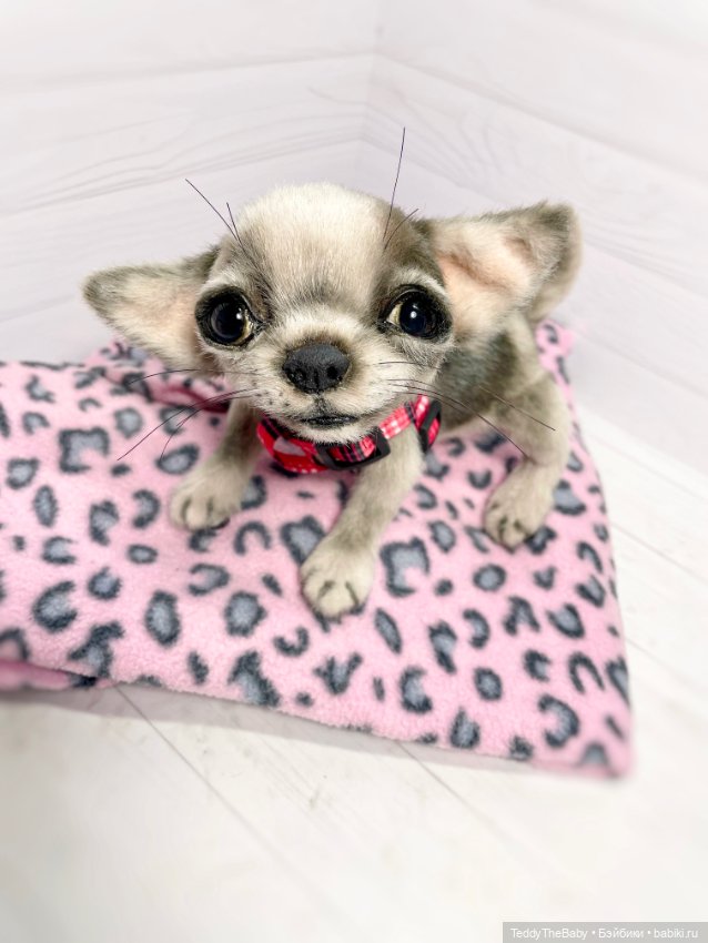 Yummi 🐾🐶чихуашик — Реалистичные игрушки и звери (Натюр): собаки