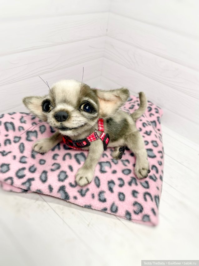 Yummi 🐾🐶чихуашик — Реалистичные игрушки и звери (Натюр): собаки
