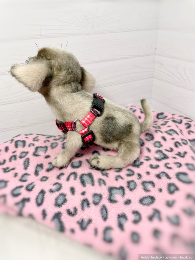 Yummi 🐾🐶чихуашик — Реалистичные игрушки и звери (Натюр): собаки