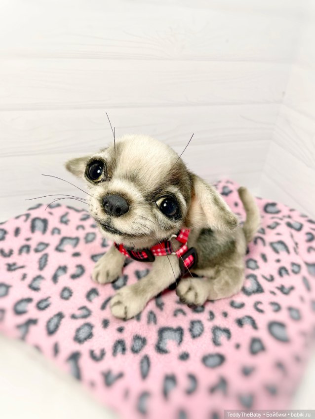 Yummi 🐾🐶чихуашик — Реалистичные игрушки и звери (Натюр): собаки