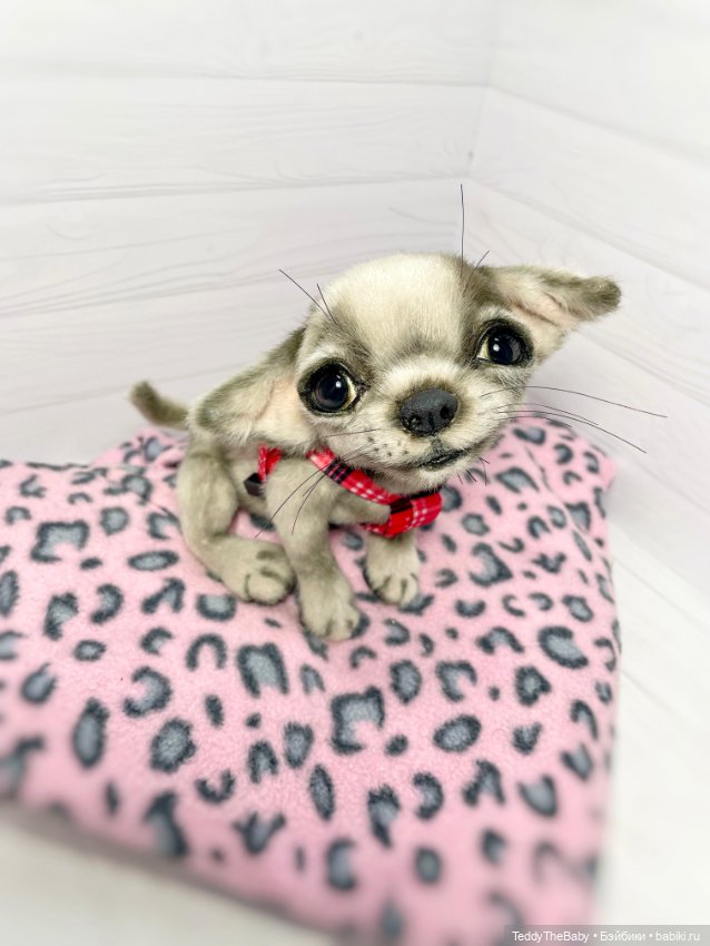 Yummi 🐾🐶чихуашик — Реалистичные игрушки и звери (Натюр): собаки