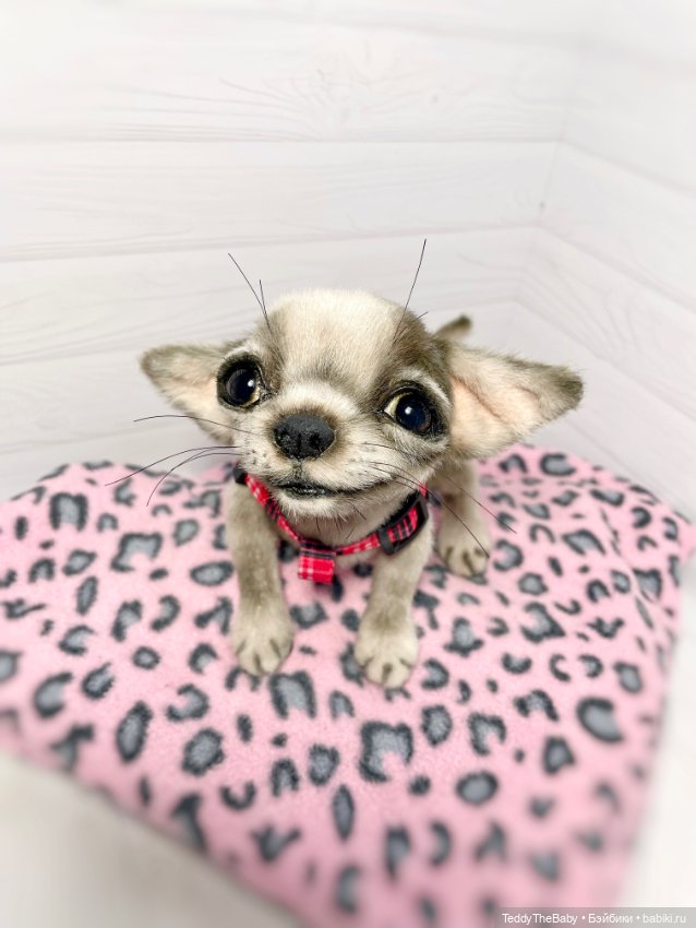 Yummi 🐾🐶чихуашик — Реалистичные игрушки и звери (Натюр): собаки (фото 7)