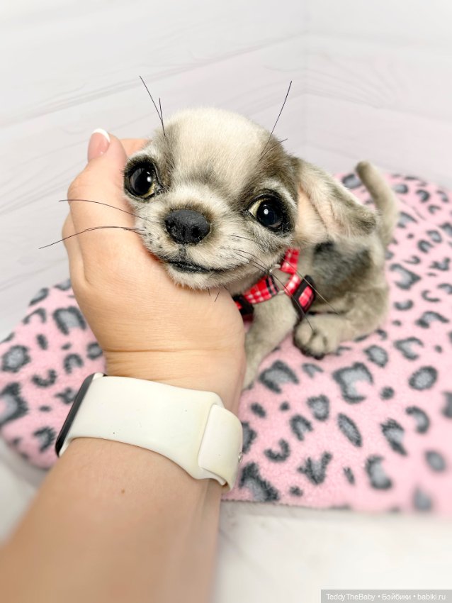 Yummi 🐾🐶чихуашик — Реалистичные игрушки и звери (Натюр): собаки