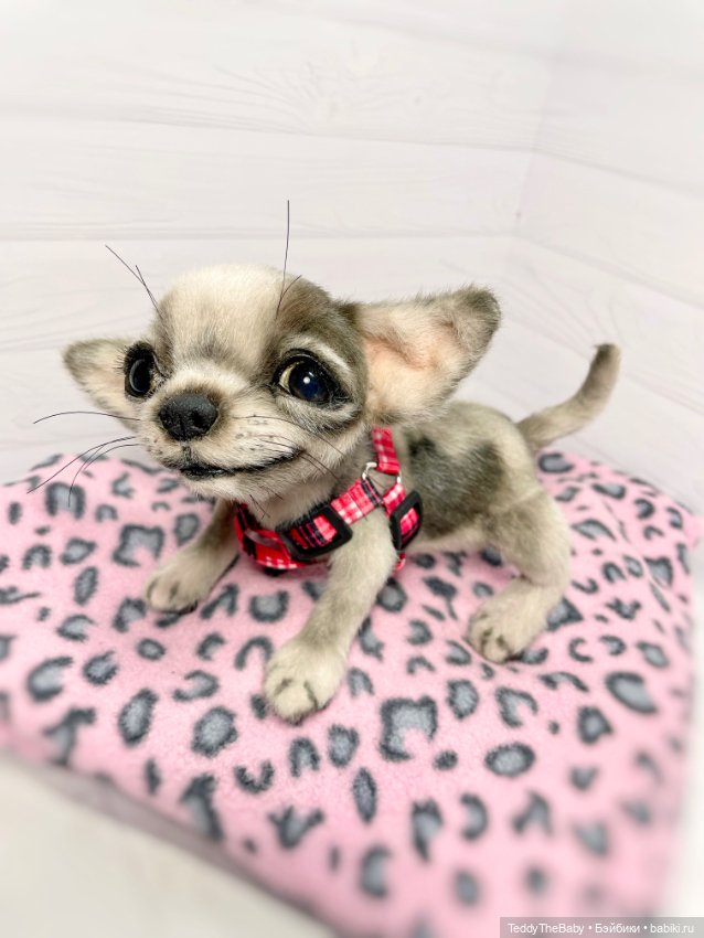 Yummi 🐾🐶чихуашик — Реалистичные игрушки и звери (Натюр): собаки (фото 10)