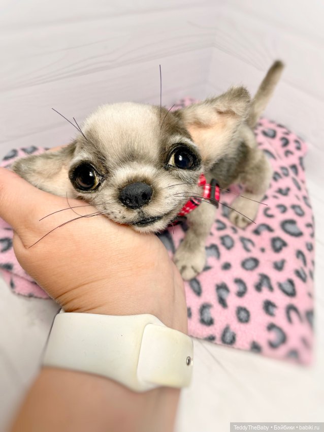 Yummi 🐾🐶чихуашик — Реалистичные игрушки и звери (Натюр): собаки