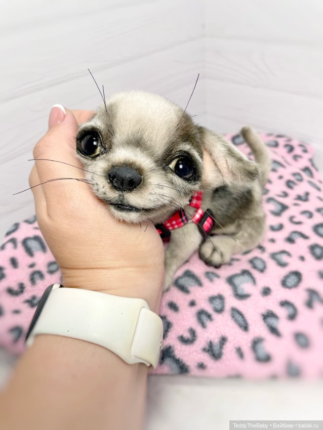 Yummi 🐾🐶чихуашик — Реалистичные игрушки и звери (Натюр): собаки