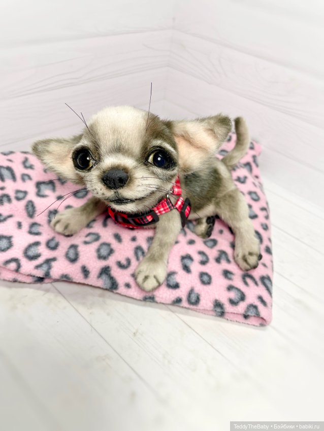 Yummi 🐾🐶чихуашик — Реалистичные игрушки и звери (Натюр): собаки