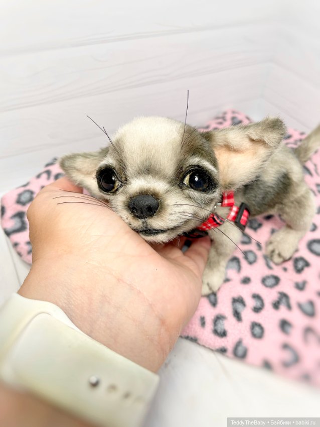 Yummi 🐾🐶чихуашик — Реалистичные игрушки и звери (Натюр): собаки