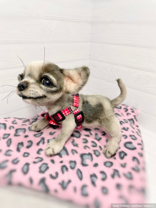 Yummi 🐾🐶чихуашик — Реалистичные игрушки и звери (Натюр): собаки