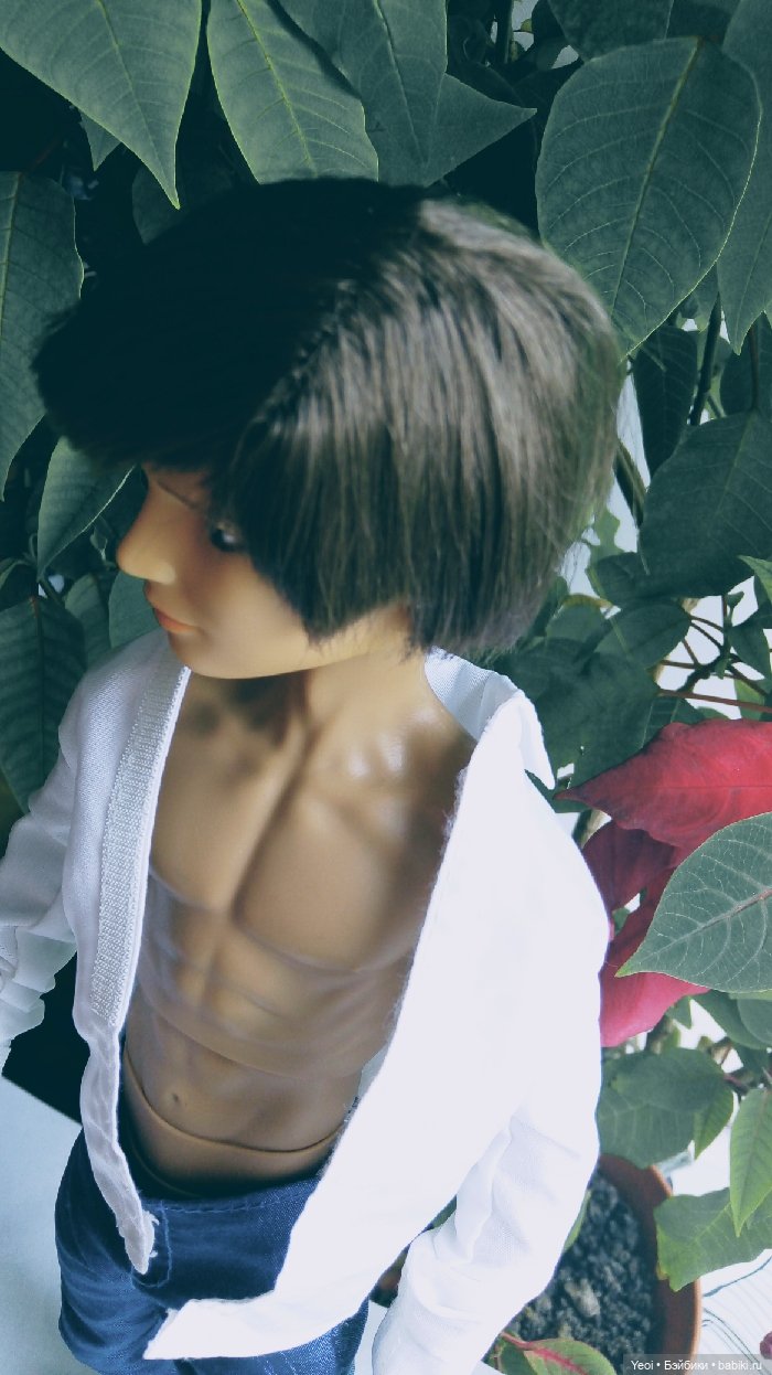 Джейк, просто фото — Гибриды шарнирных кукол (не БЖД): подбор тела (фото 10)