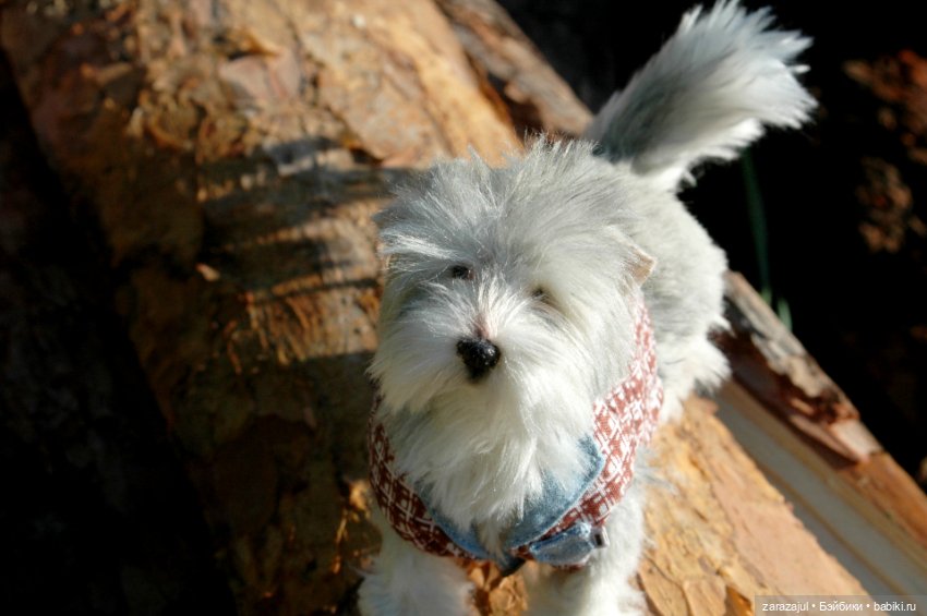 Новая фотосессия Лорда — Текстильные игрушки и примитивы: кофейные