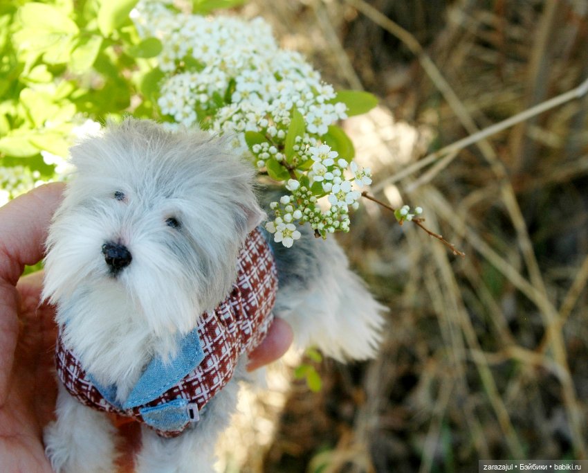 Новая фотосессия Лорда — Текстильные игрушки и примитивы: кофейные
