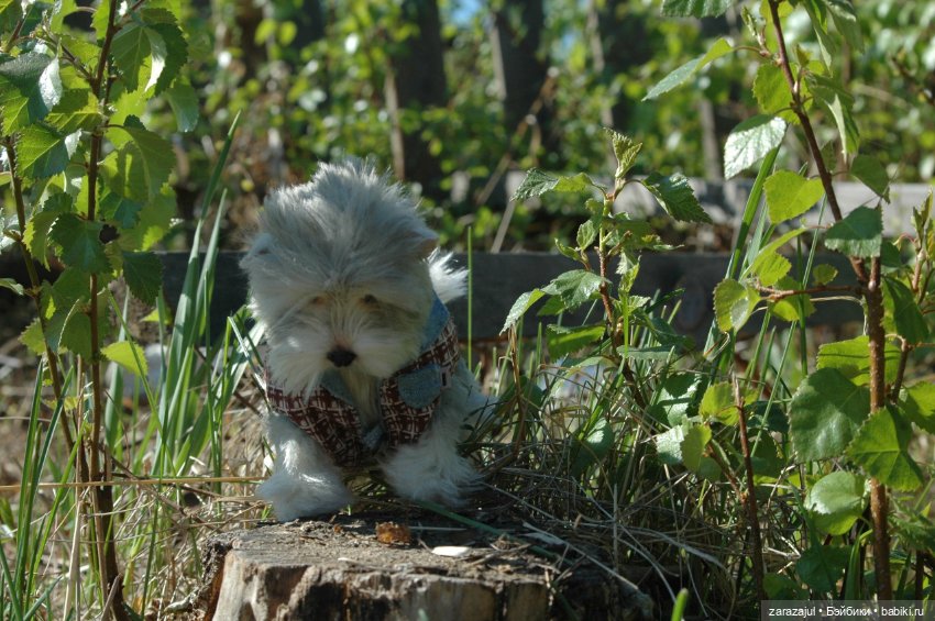 Новая фотосессия Лорда — Текстильные игрушки и примитивы: кофейные (фото 9)