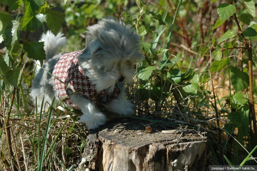 Новая фотосессия Лорда — Текстильные игрушки и примитивы: кофейные (фото 8)