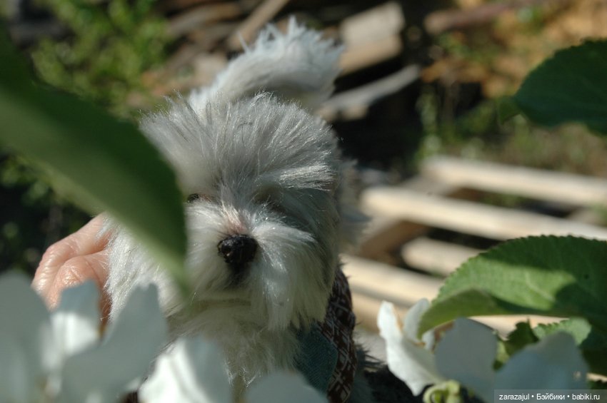 Новая фотосессия Лорда — Текстильные игрушки и примитивы: кофейные (фото 5)