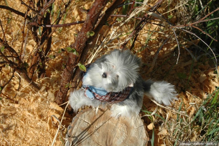 Новая фотосессия Лорда — Текстильные игрушки и примитивы: кофейные (фото 7)