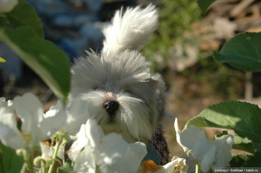 Новая фотосессия Лорда — Текстильные игрушки и примитивы: кофейные (фото 4)