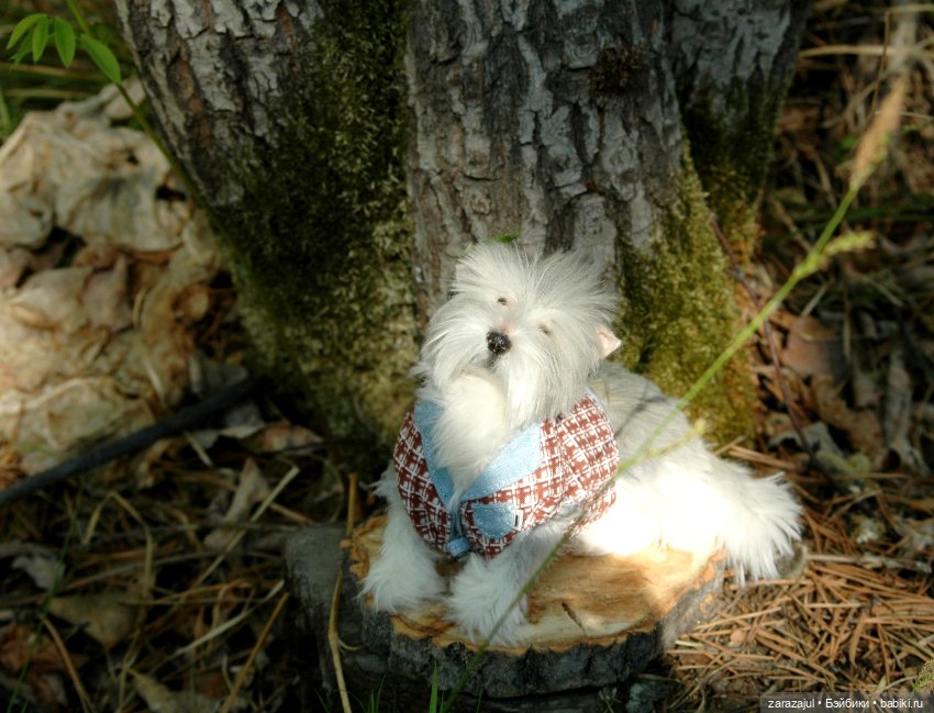 Новая фотосессия Лорда — Текстильные игрушки и примитивы: кофейные