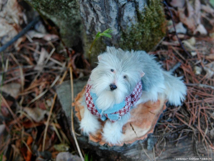 Новая фотосессия Лорда — Текстильные игрушки и примитивы: кофейные