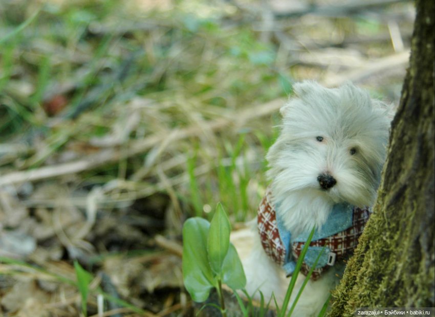 Новая фотосессия Лорда — Текстильные игрушки и примитивы: кофейные (фото 10)